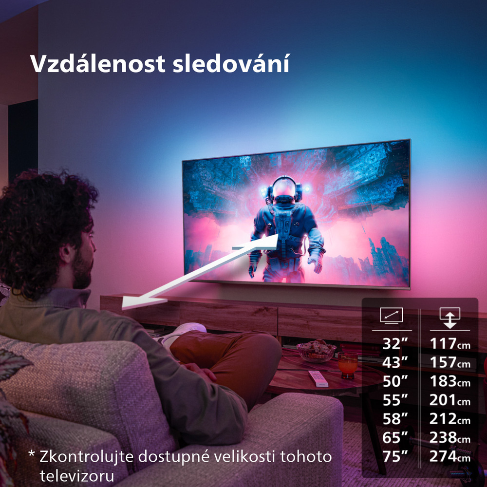 Televize Philips 55PML9008