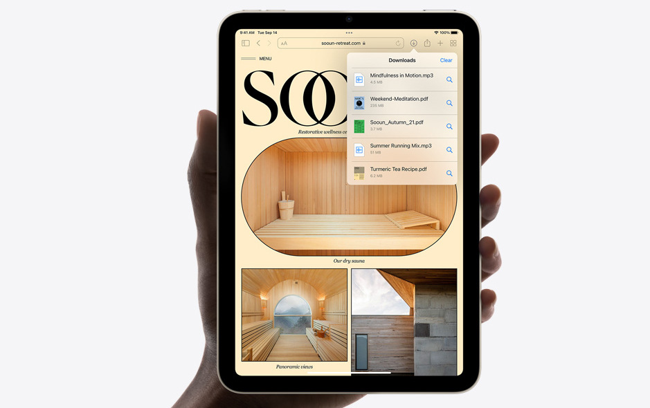 Dotykový tablet Apple iPad mini (2021) Wi-Fi 256GB - Space Grey