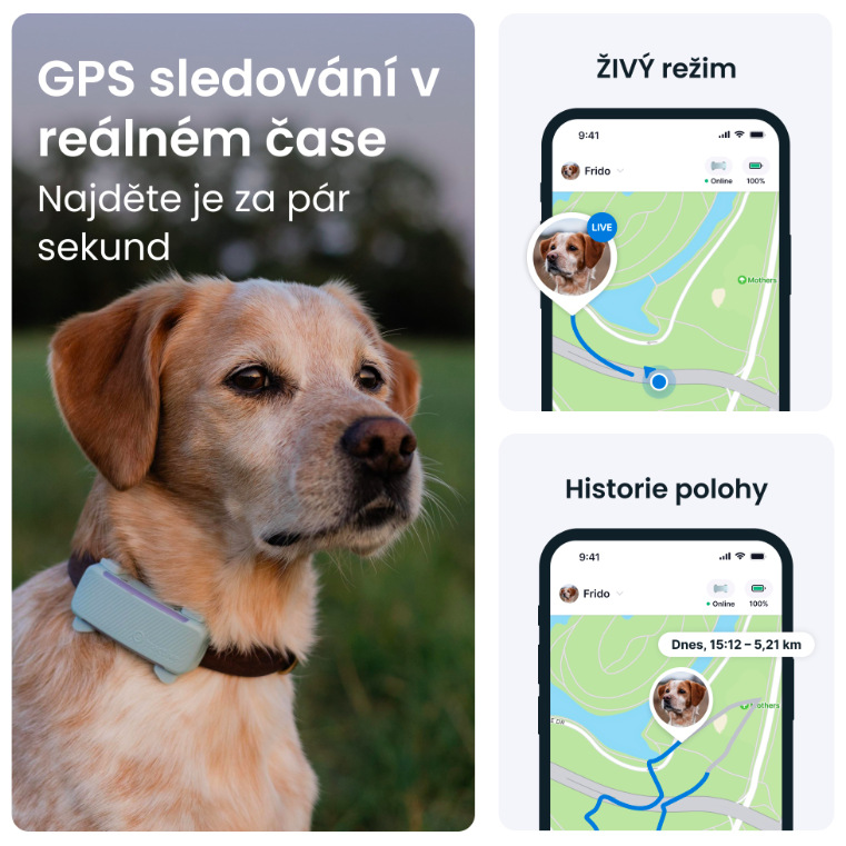 GPS lokátor Tractive DOG 6 - mentolový