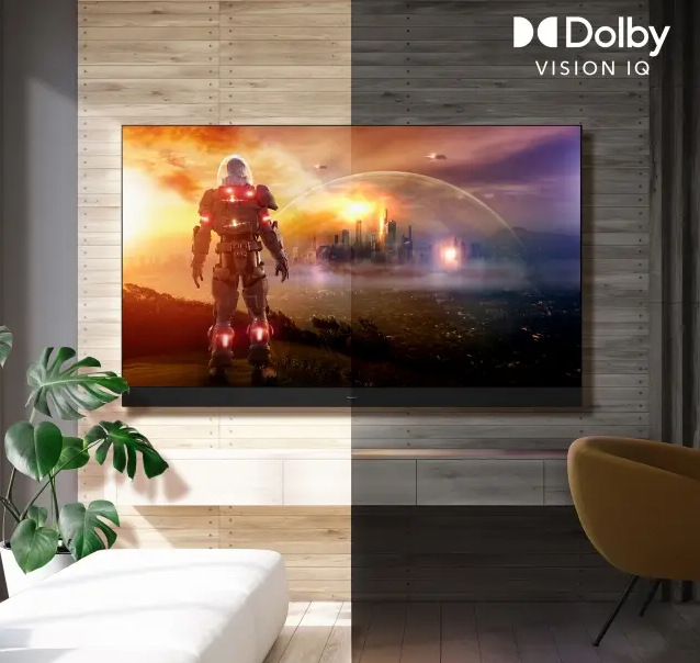 Televize Panasonic TV-55W90AEG Televize Panasonic TV-55W90AEG