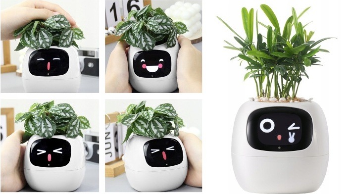 Chytrý květináč Plantsio IVY - bílá