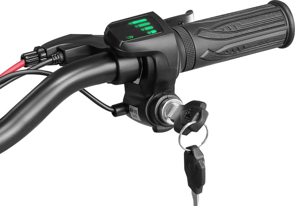 Elektrická koloběžka City Boss Z350 černá Elektrická koloběžka City Boss Z350 černá