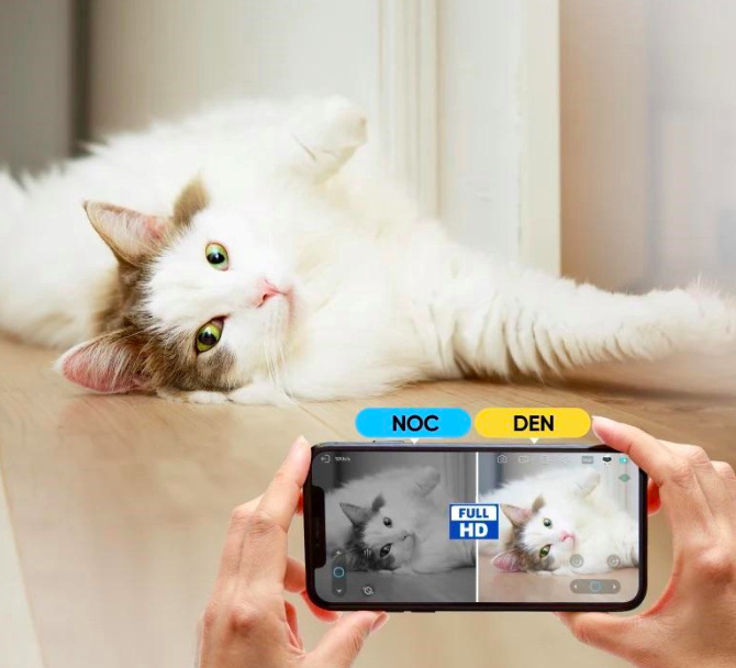 Noční a denní vidění mobilní IP kamery Enabot EBO SE při sledování domácího mazlíčka
