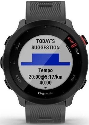 Chytré hodinky Garmin Forerunner 55 šedé