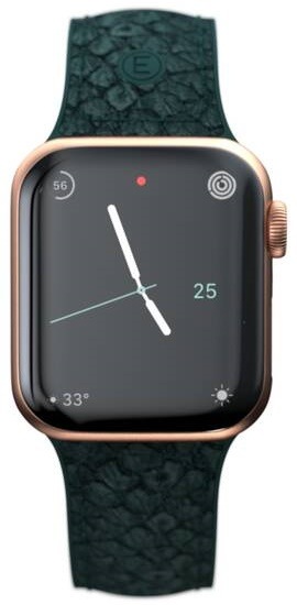 Řemínek Njord Jord na Apple Watch 42/44/45/49mm zelený