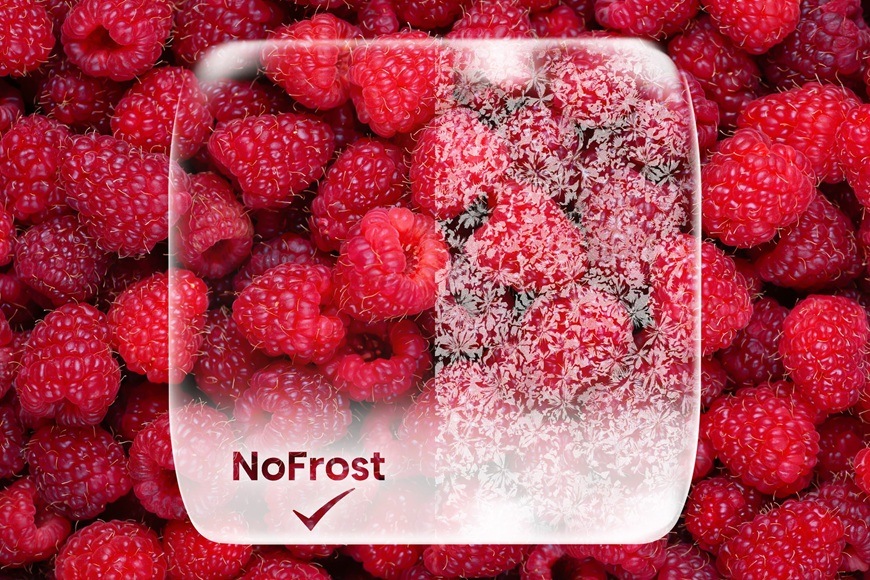 Porovnání funkce NoFrost a klasického mrazení