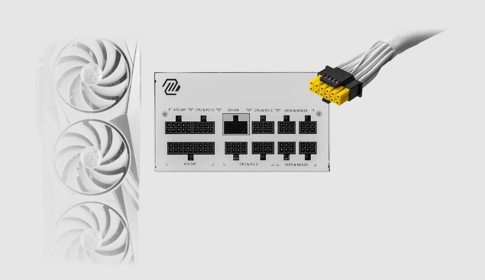 MSI MAG A850GL PCIE5 WHITE