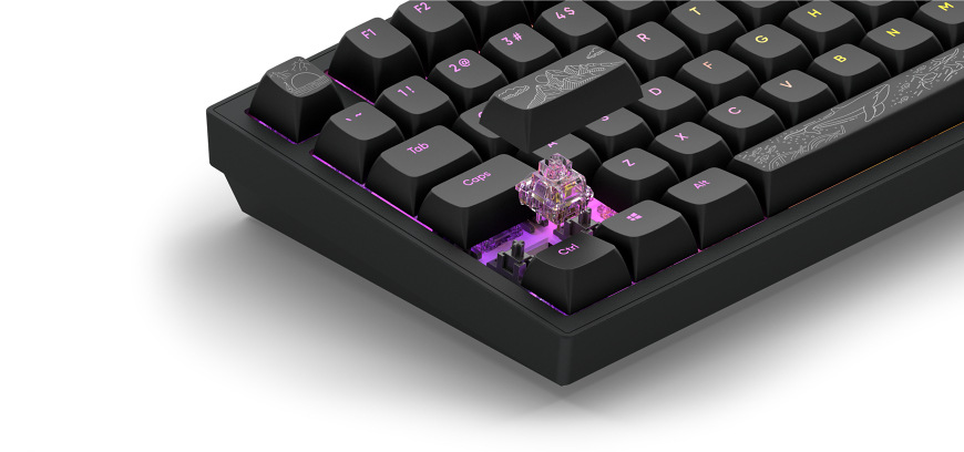 Klávesnice Dark Project ALU Terra Nostra R2, US černá