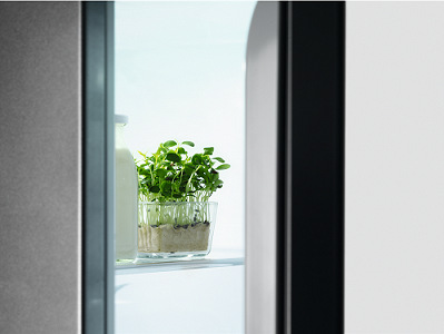 Chladnička Electrolux LXB1AF9W0 bílá Chladnička Electrolux LXB1AF9W0 bílá