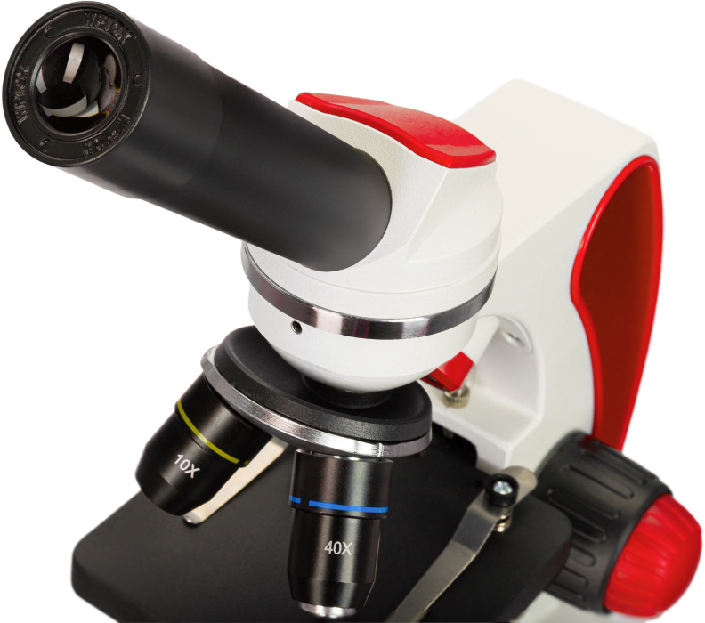 Discovery Pico Terra