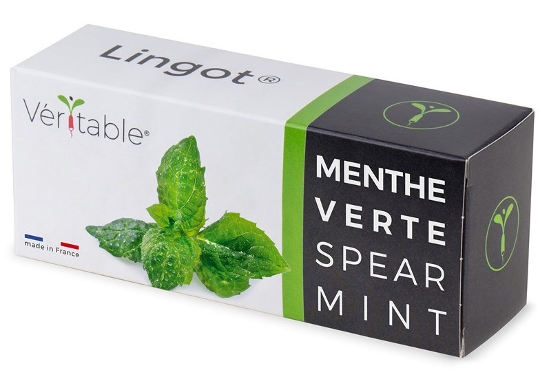 Semínka Véritable Lingot Máta klasnatá