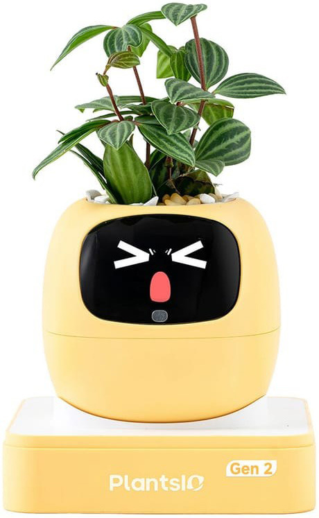 Chytrý květináč Plantsio IVY generace 2 - žlutá