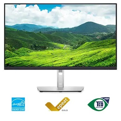 Monitor Dell Professional P2422H černý/stříbrný Dell Professional P2422H