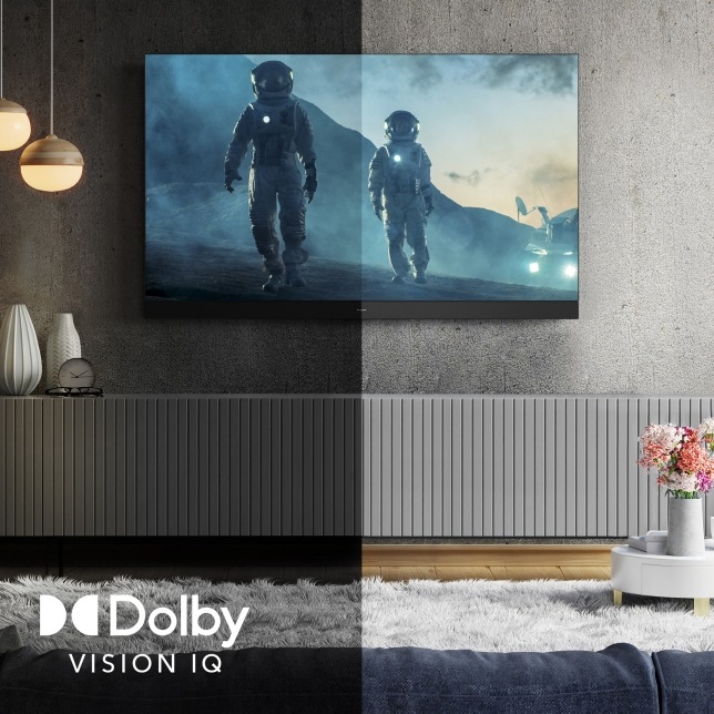 Televize Panasonic TX-65LZ1000E