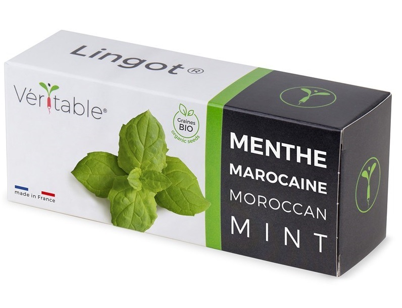 Semínka Véritable Lingot Marocká máta BIO