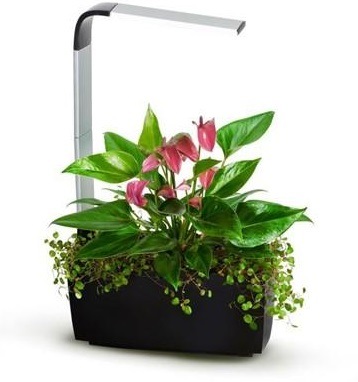 TREGREN T6 Kitchen Garden