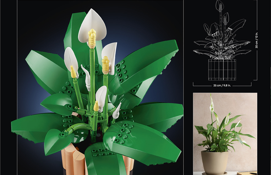 Stavebnice LEGO® Botanicals 11504 Lopatkovec Mrkev a popcorn dostaly nečekané využití a vytvářejí zábavné detaily botanického modelu.