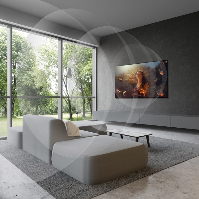 Televize Panasonic TX-55LZ1000E