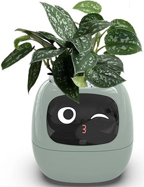 Chytrý květináč Plantsio IVY - zelený
