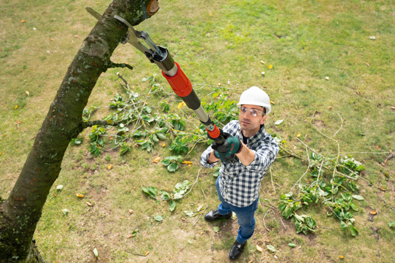 Nůžky na větve Bosch AdvancedPrune 18V-45 (s baterií)