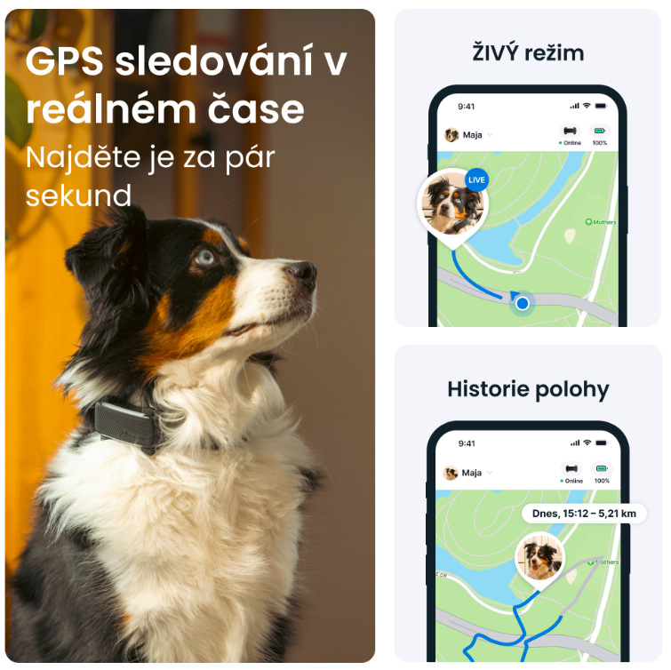 GPS lokátor Tractive DOG 6 - černý
