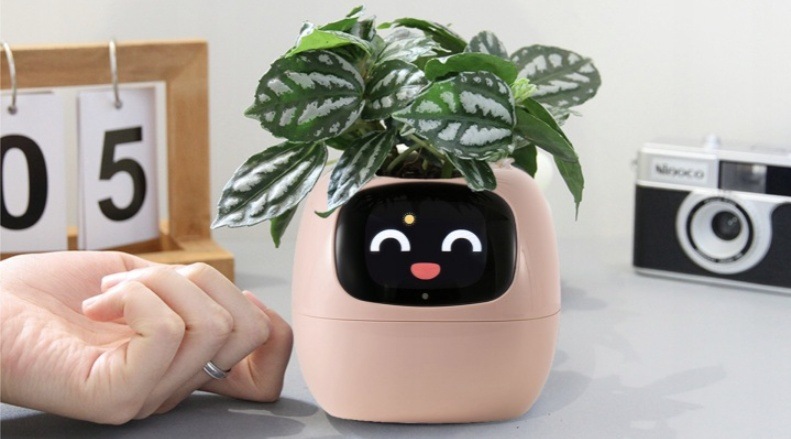 Chytrý květináč Plantsio IVY - růžová