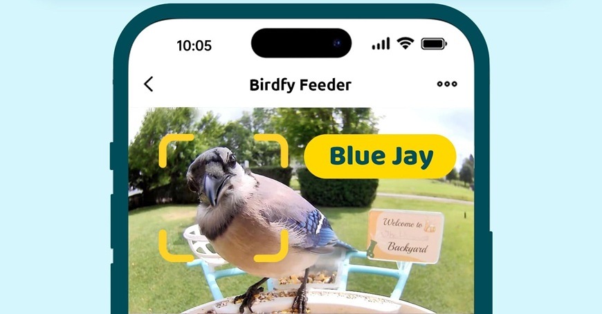Ptačí krmítko Birdfy s kamerou (AI předplatné) Detail obrázku na zobrazení druhu ptáka v mobilní aplikaci