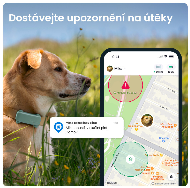 GPS lokátor Tractive DOG 6 - mentolový