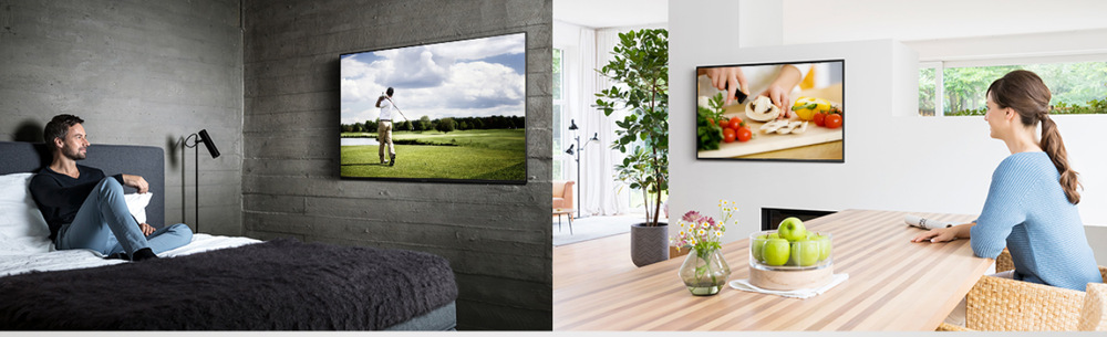 Televize Panasonic TX-49FX603E