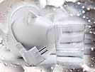 Pračka Miele WhiteEdition WWR 860 WPS bílá