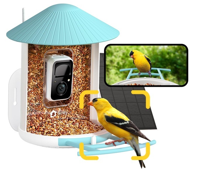 Ptačí krmítko Birdfy s kamerou a solárním panelem (AI doživotně zdarma) Detail obrázku krmítka s mobilním telefonem.