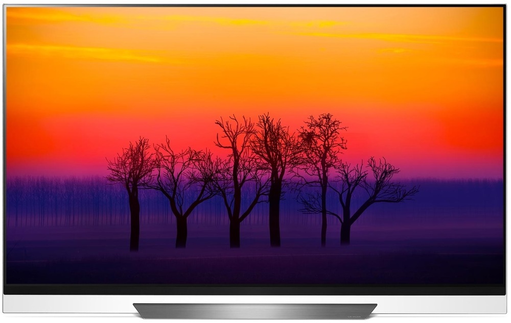 Televize LG OLED65E8PLA