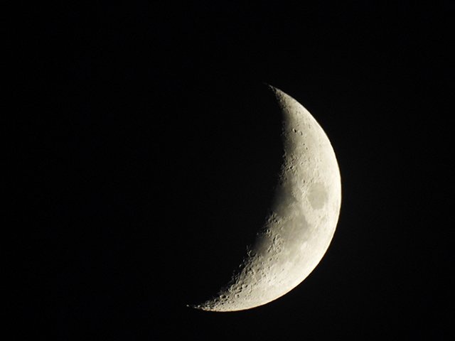 Digitální fotoaparát Nikon Coolpix P950 černý Digitální fotoaparát Nikon Coolpix P950 černý