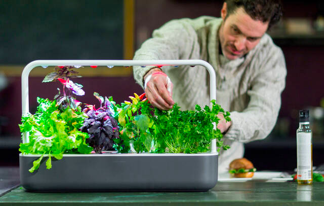 Chytrý květináč Click and Grow Smart Garden 9 - šedý