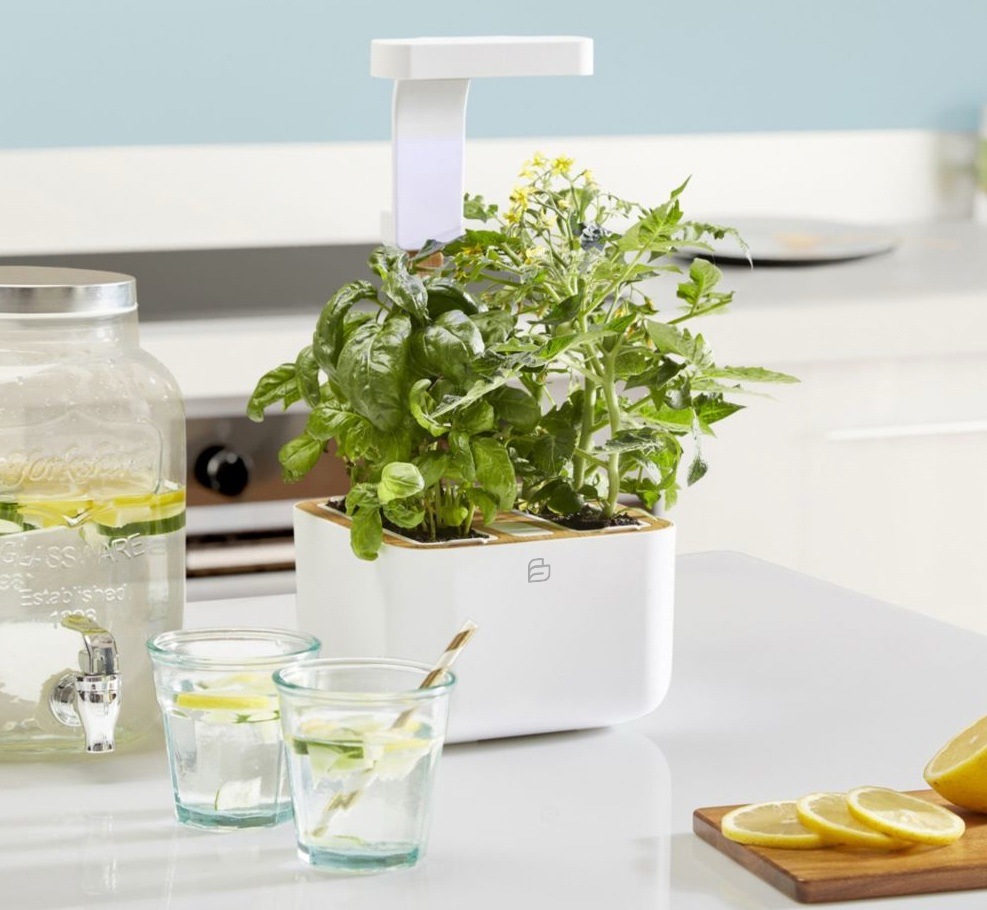 Chytrý květináč Véritable BOTANEO v interiéru kuchyně