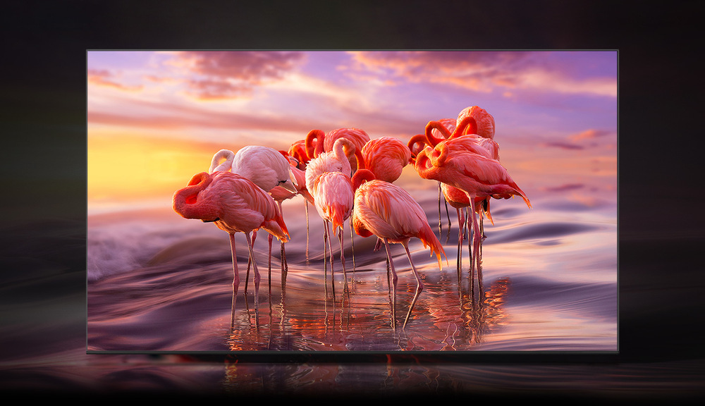Televize Samsung QE55Q60B