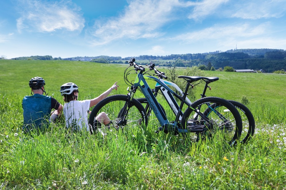 Elektrokolo GoGEN Campo MX 720 29" 21" 2025 černé/šedé