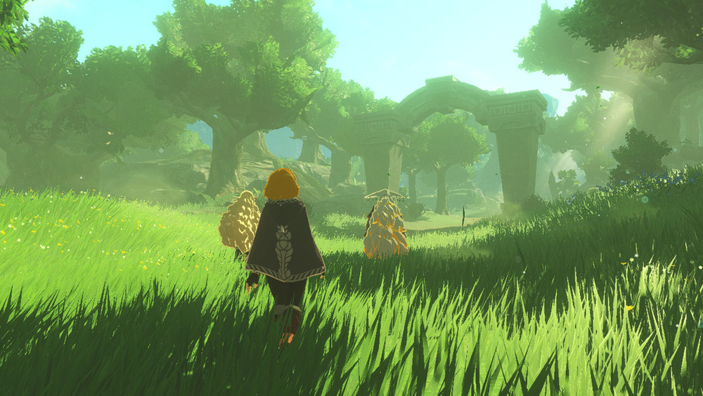 Ve hře Hyrule Warriors: Age of Imprisonment můžete hrát sami nebo ve dvoučlenné kooperaci.