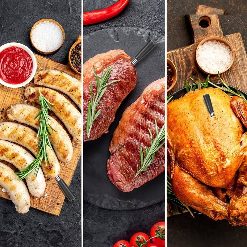 Teploměr do masa Tesla Cook BBQ200 nerez Teploměr do masa Tesla Cook BBQ200 nerez