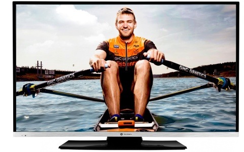 Televize GoGEN TVF 40R384 STWEB černá