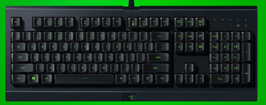 Klávesnice Razer Cynosa Lite US Layout černá