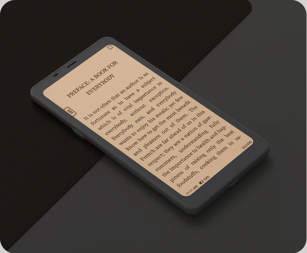 Čtečka e-knih ONYX BOOX Palma 2 černá Čtečka e-knih ONYX BOOX Palma 2 černá