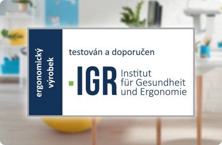 Leitz Ergo