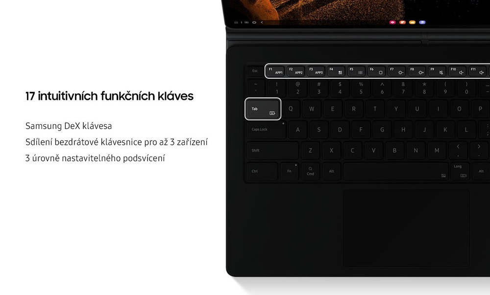 Pouzdro na tablet s klávesnicí Samsung Galaxy Tab S8 Ultra černé