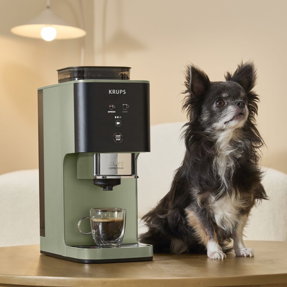 Drobný pes sedící vedle kávovaru Krups SA401LE0 Coffee Crush