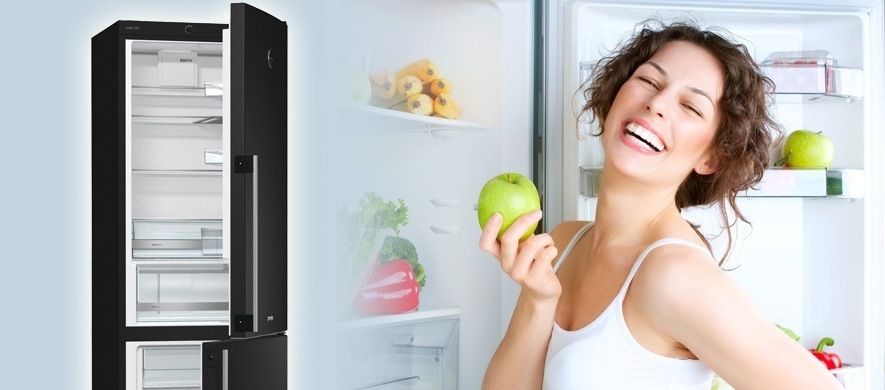 Chladnička s mrazničkou Gorenje Simplicity 2 RK 61 FSY2B černá Chladnička s mrazničkou Gorenje Simplicity 2 RK 61 FSY2B černá