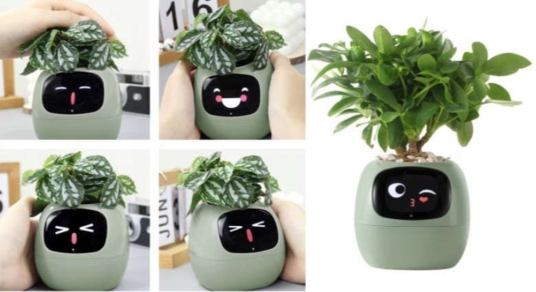 Chytrý květináč Plantsio IVY zelený Chytrý květináč Plantsio IVY - zelený