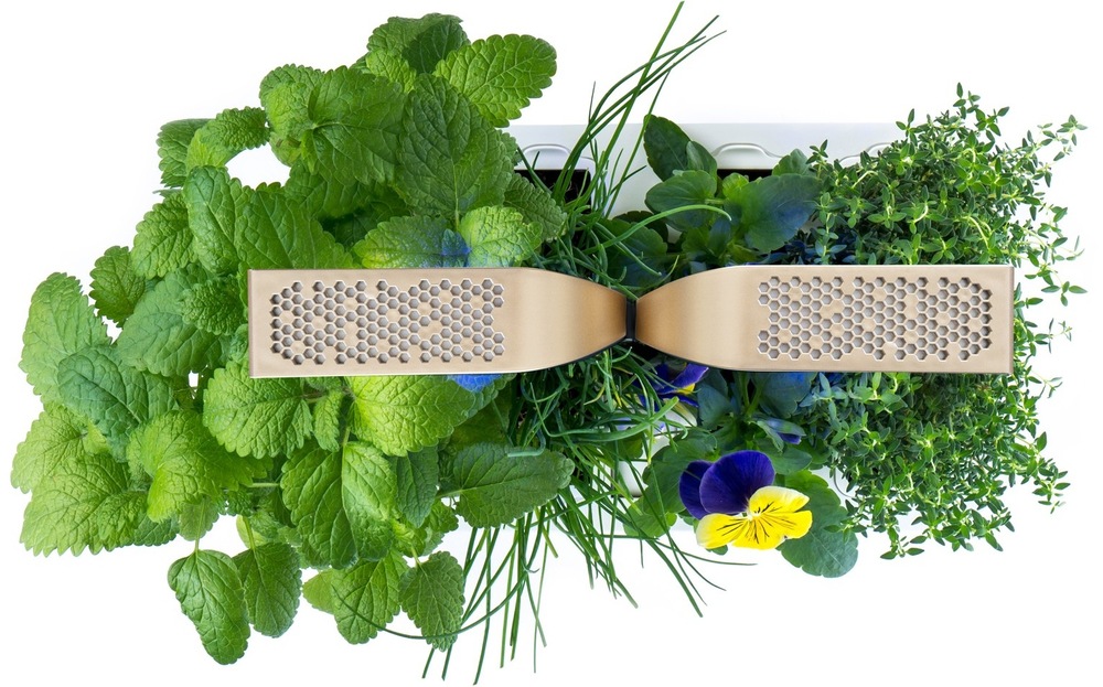 Chytrý květináč Véritable CONNECT bílý/champagne Chytrý květináč Véritable CONNECT s vypěstovanými bylinkami