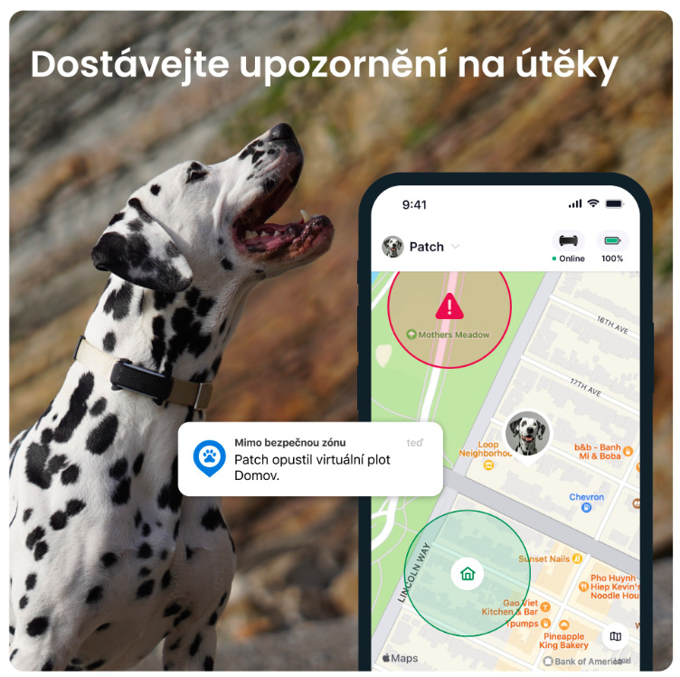 GPS lokátor Tractive DOG 6 - černý