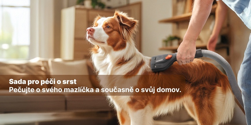 Majitel češe svého pejska v obývacím pokoji pomocí Thomas sady. Pejsek působí klidně.